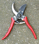 Scissors