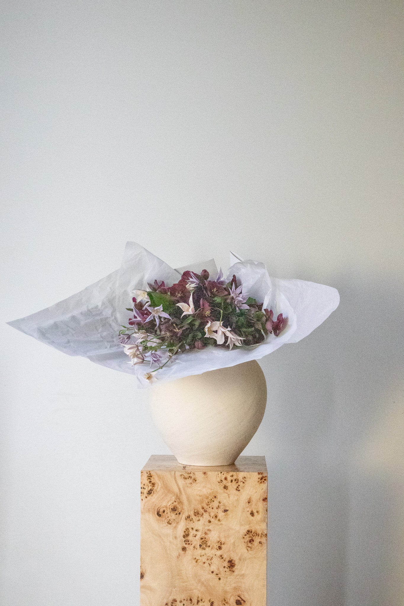 COMPLEMENT VOL 02 - EXTRA LARGE