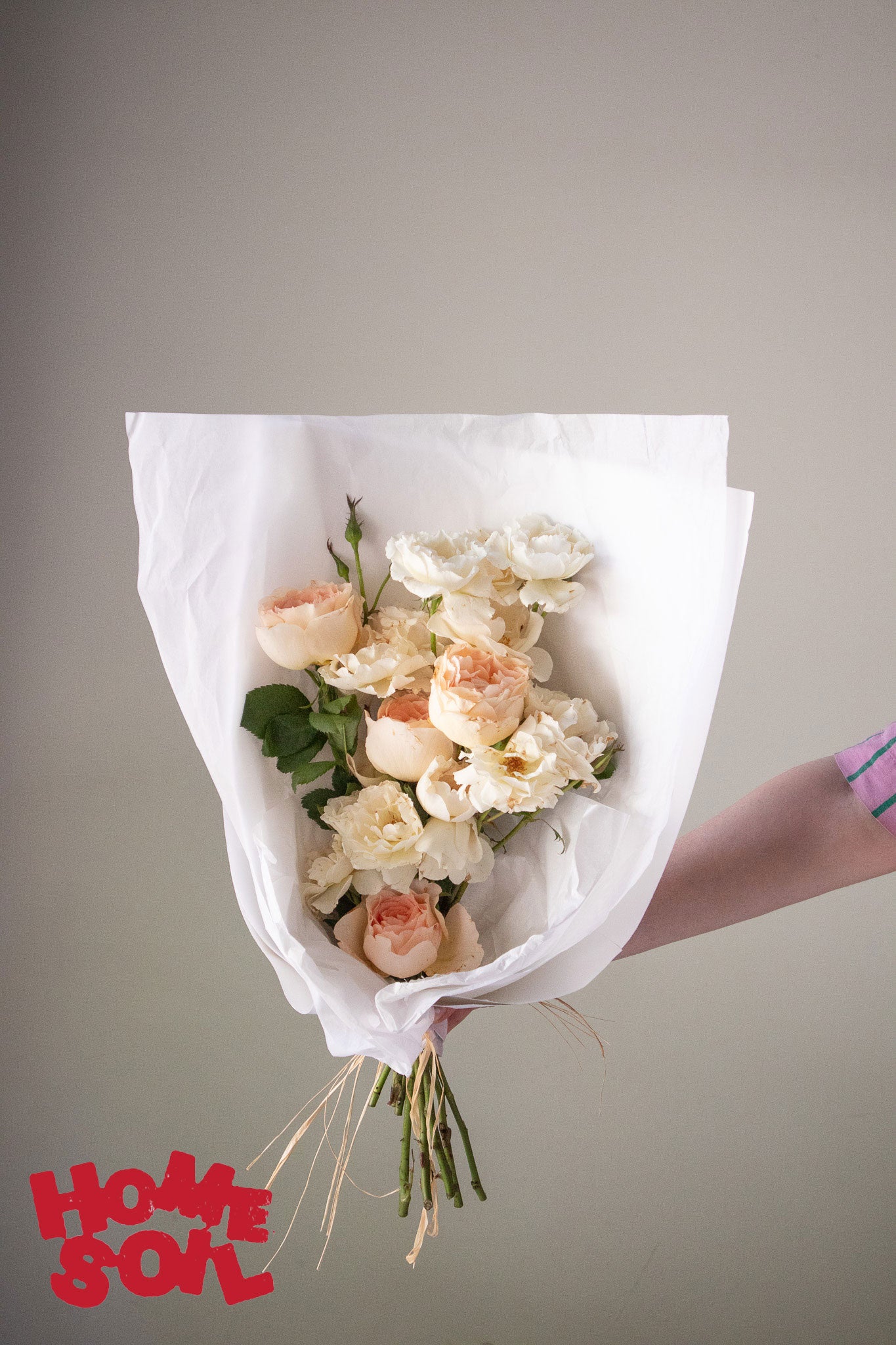 HOME SOIL ROSE - EXTRA LARGE