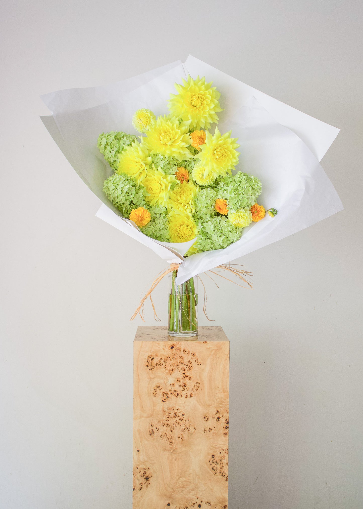 COMPLEMENT VOL 12 - VASE