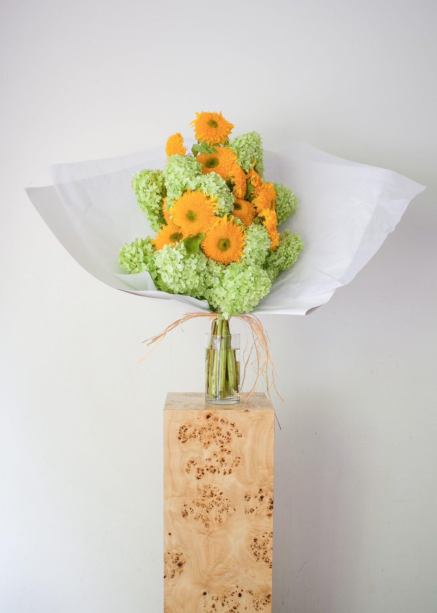 COMPLEMENT VOL 11 - VASE