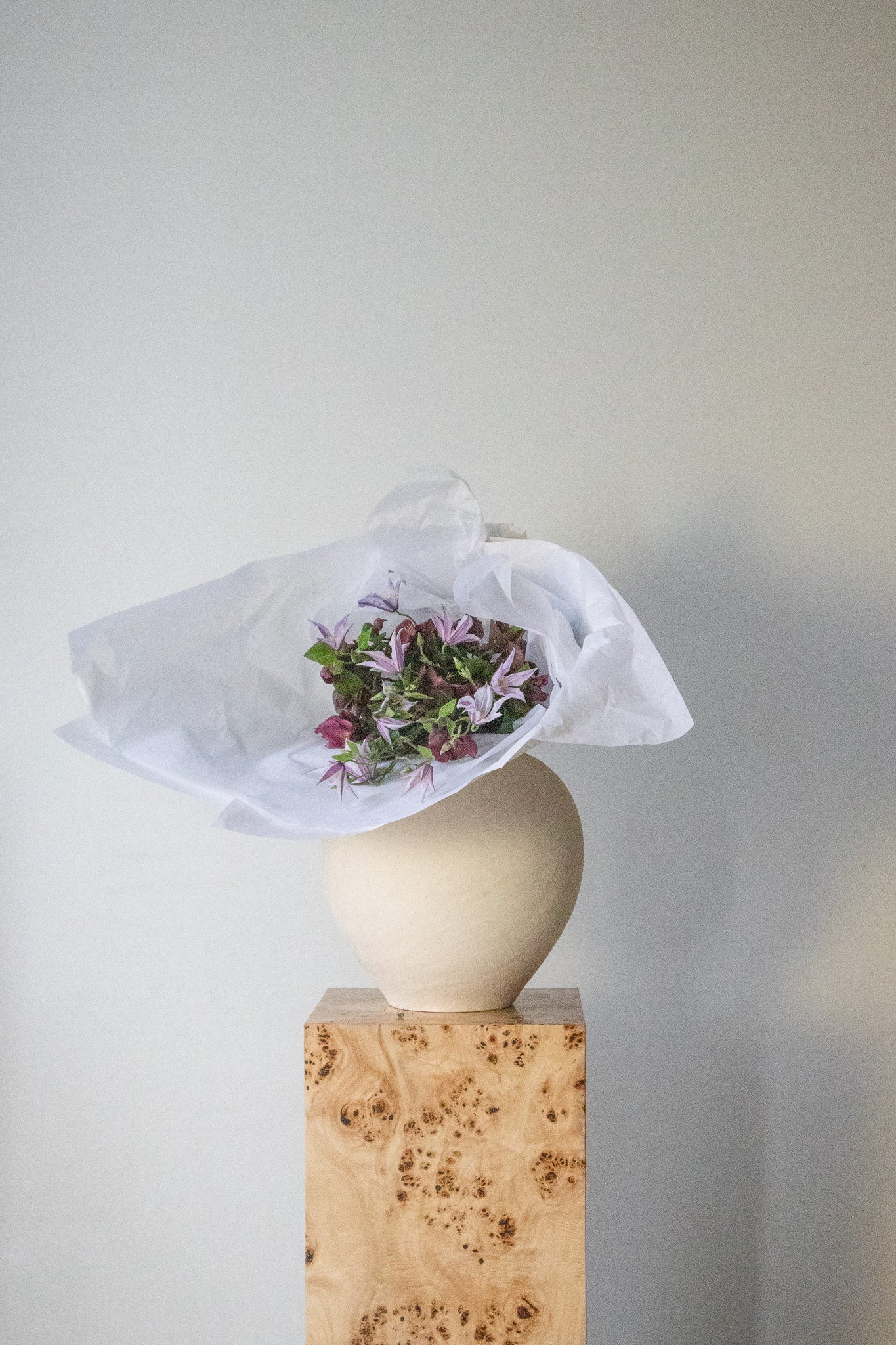 COMPLEMENT VOL 02 - SMALL