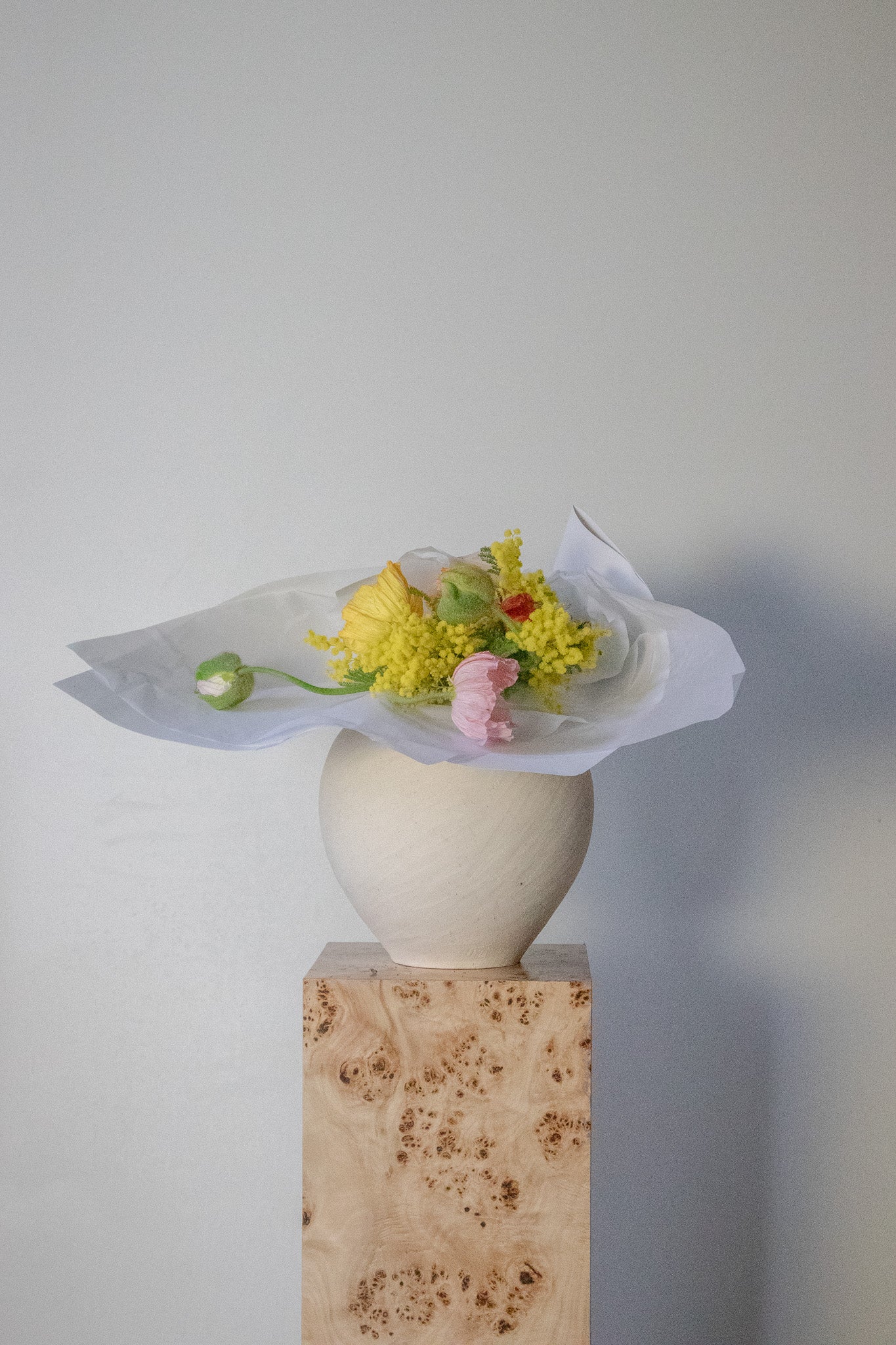 COMPLEMENT VOL 01 - SMALL