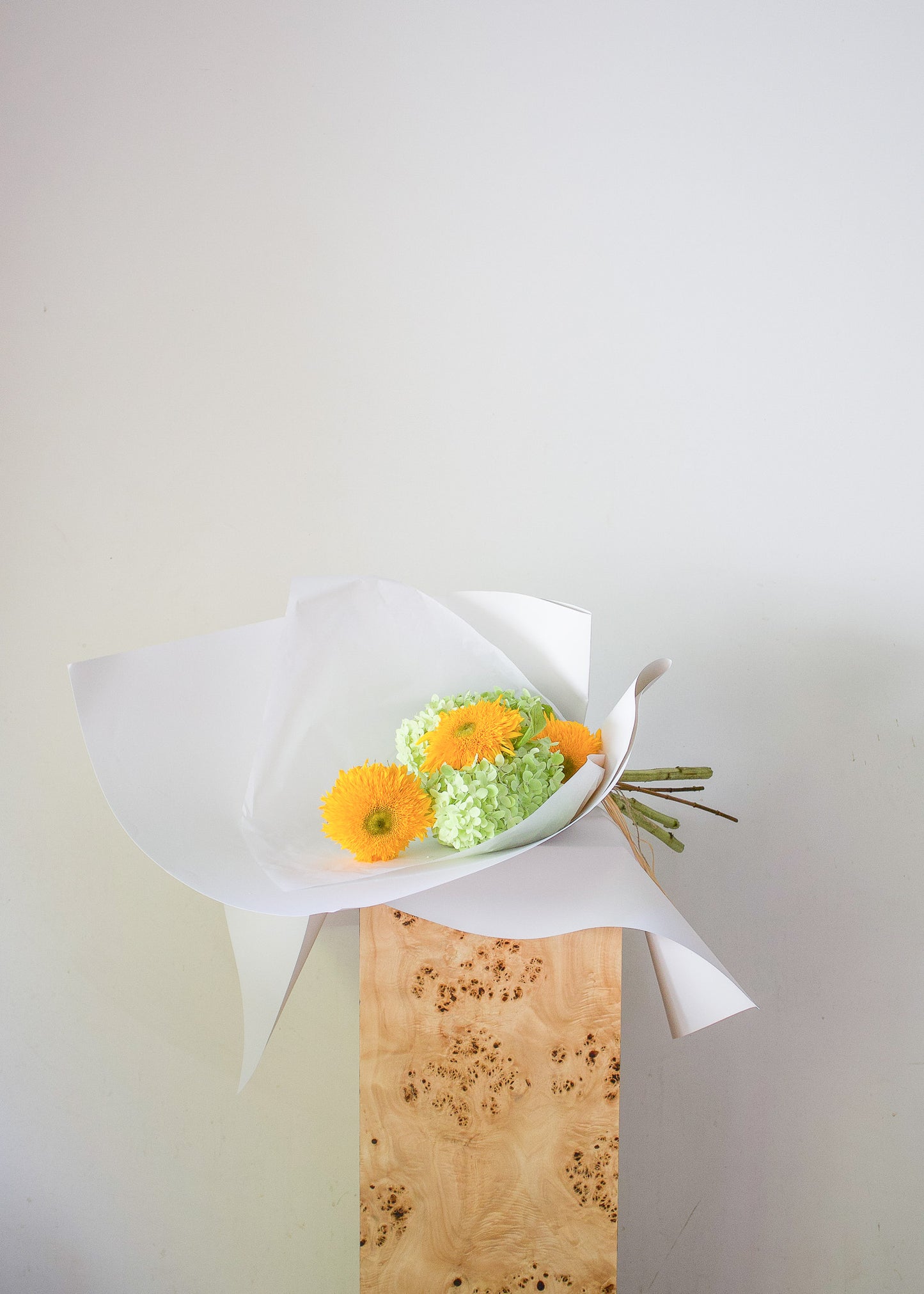 COMPLEMENT VOL 11 - SMALL