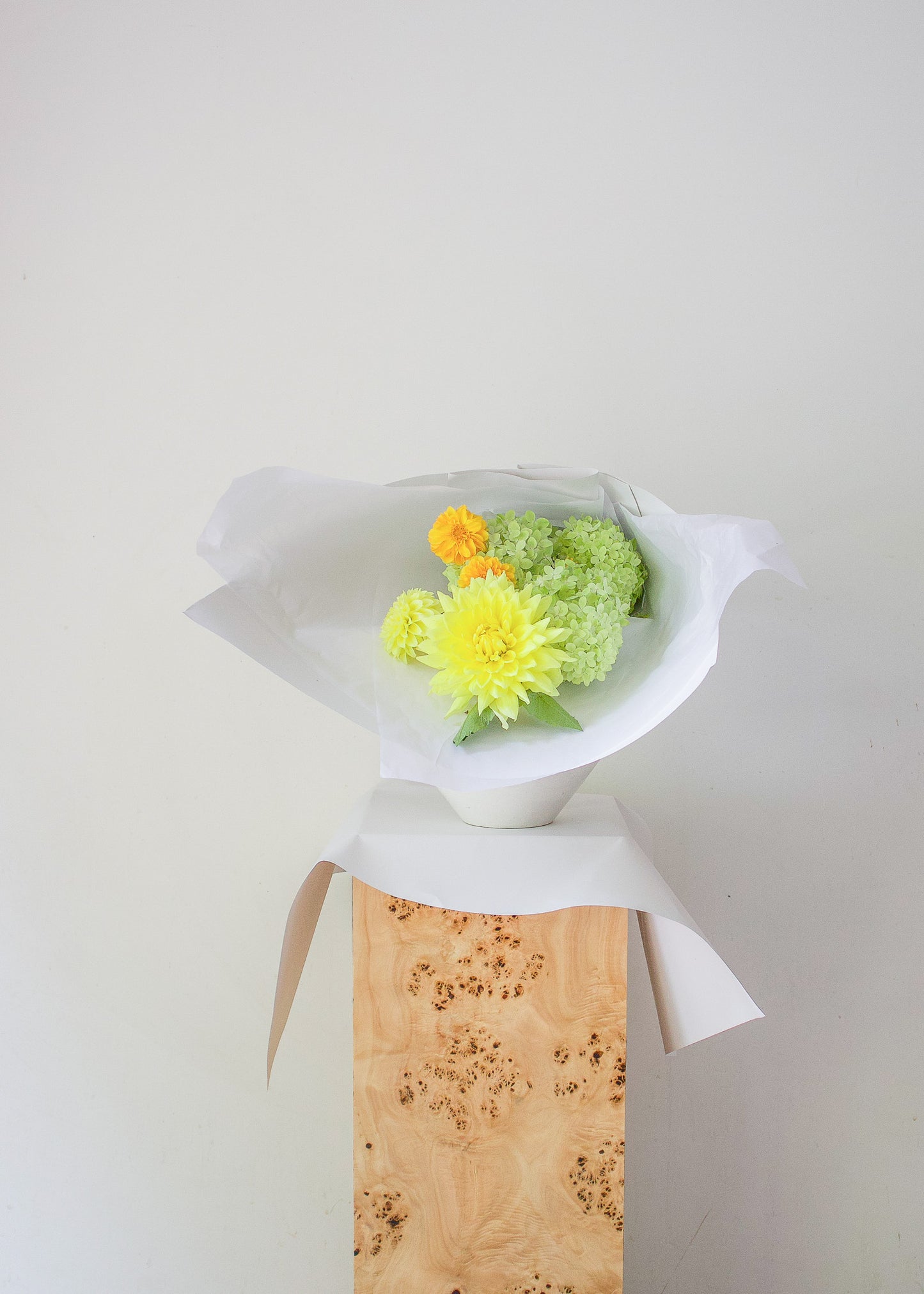 COMPLEMENT VOL 12 - MEDIUM