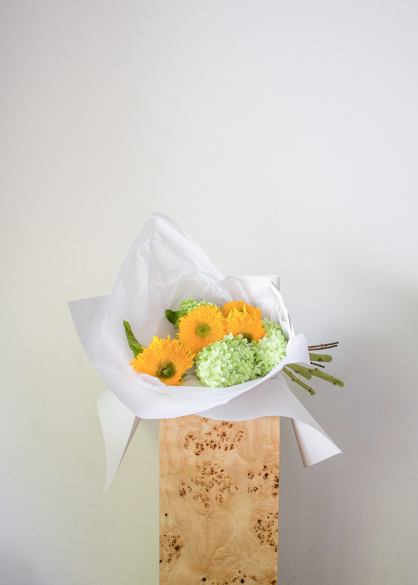 COMPLEMENT VOL 11 - MEDIUM