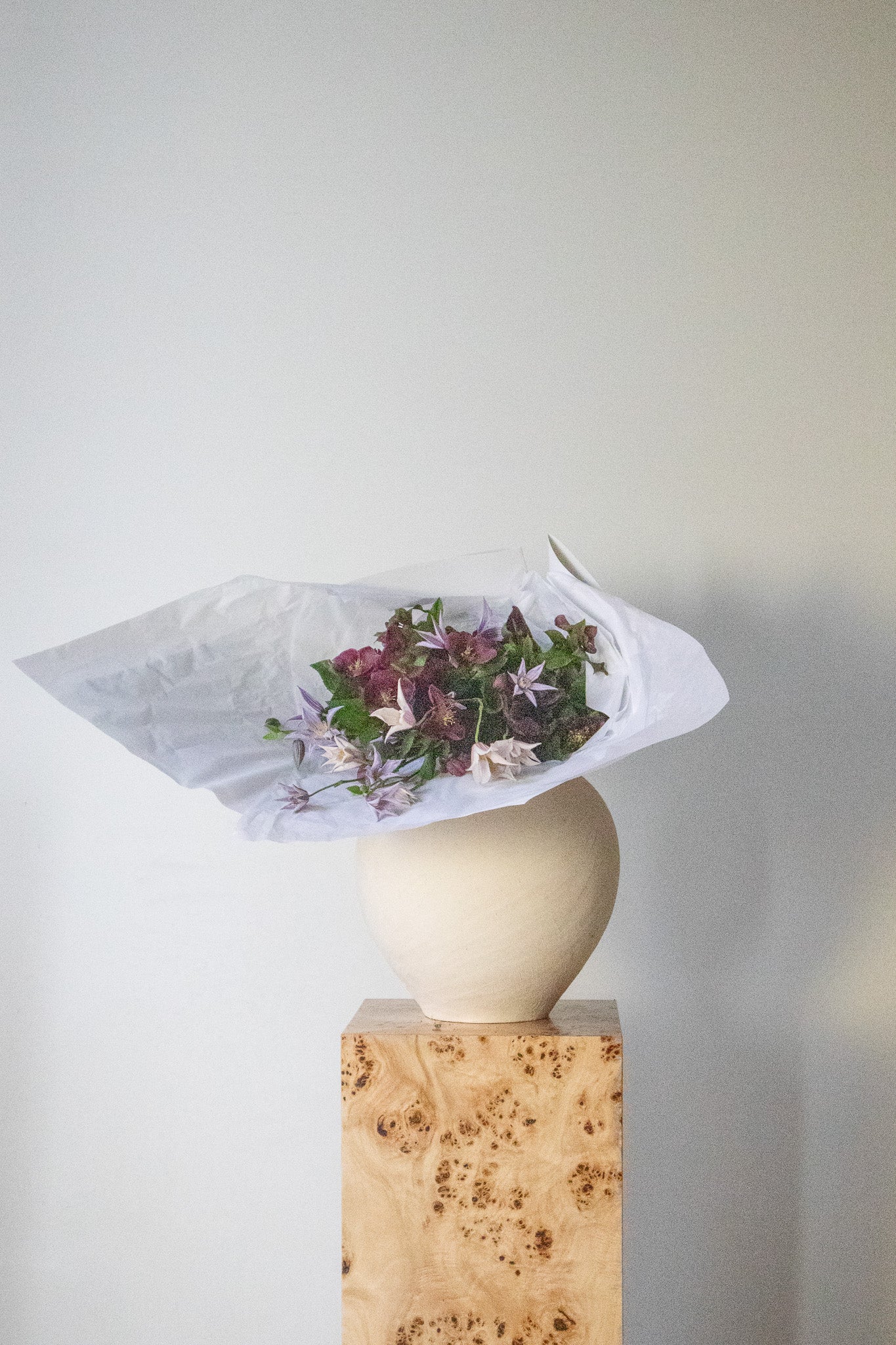 COMPLEMENT VOL 02 - LARGE