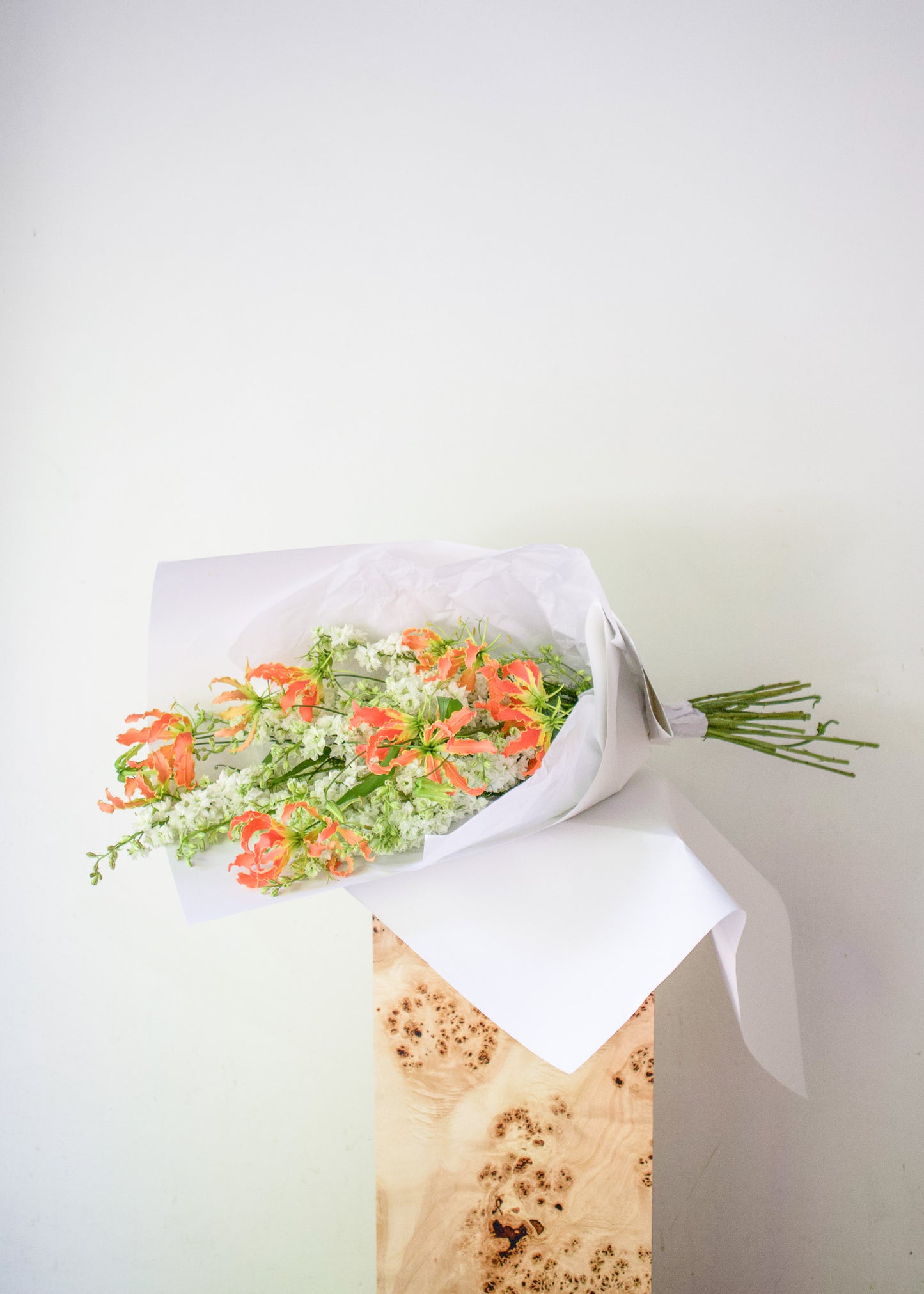 COMPLEMENT VOL 10 - LARGE