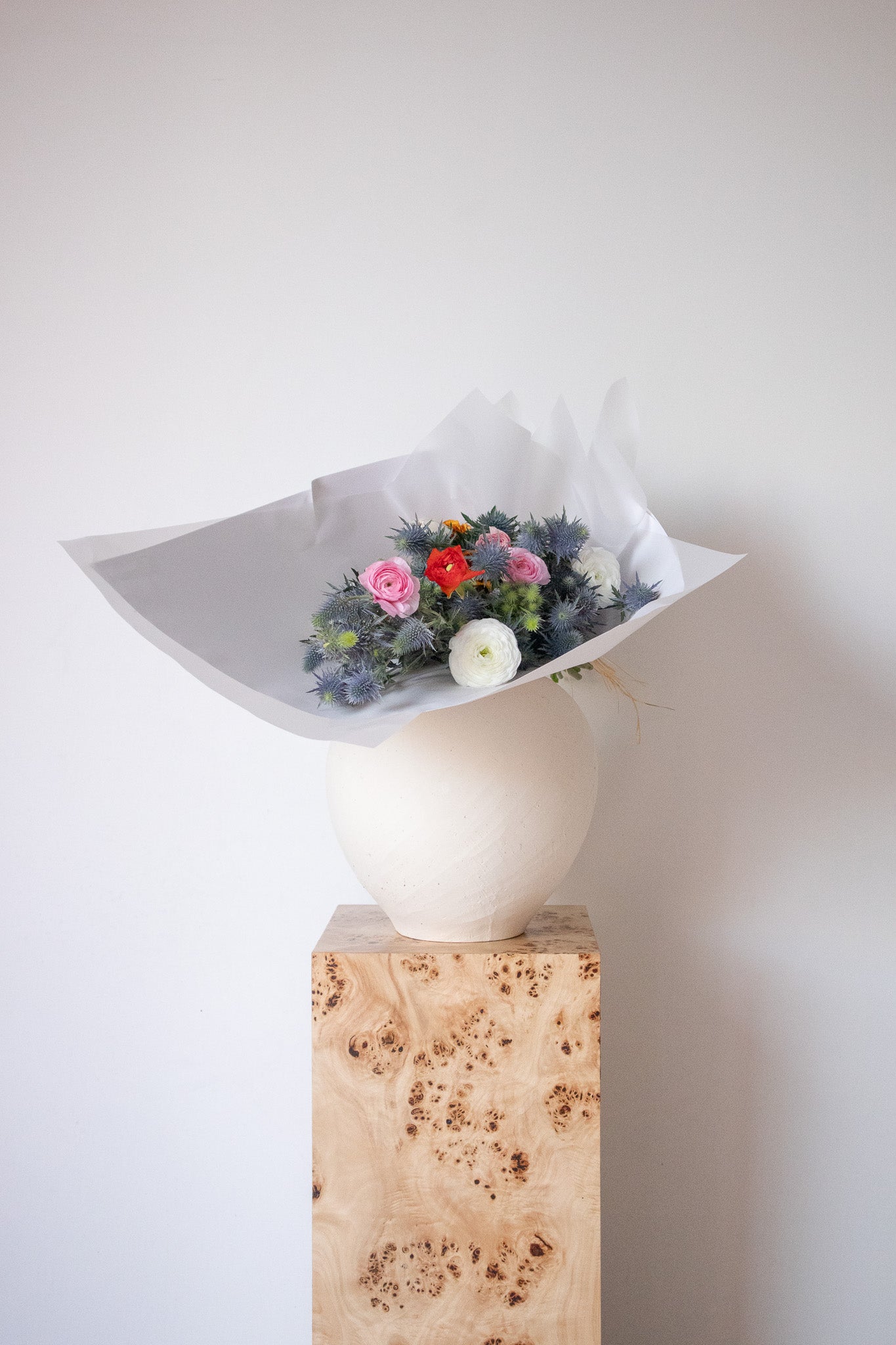 COMPLEMENT VOL 16 - EXTRA LARGE