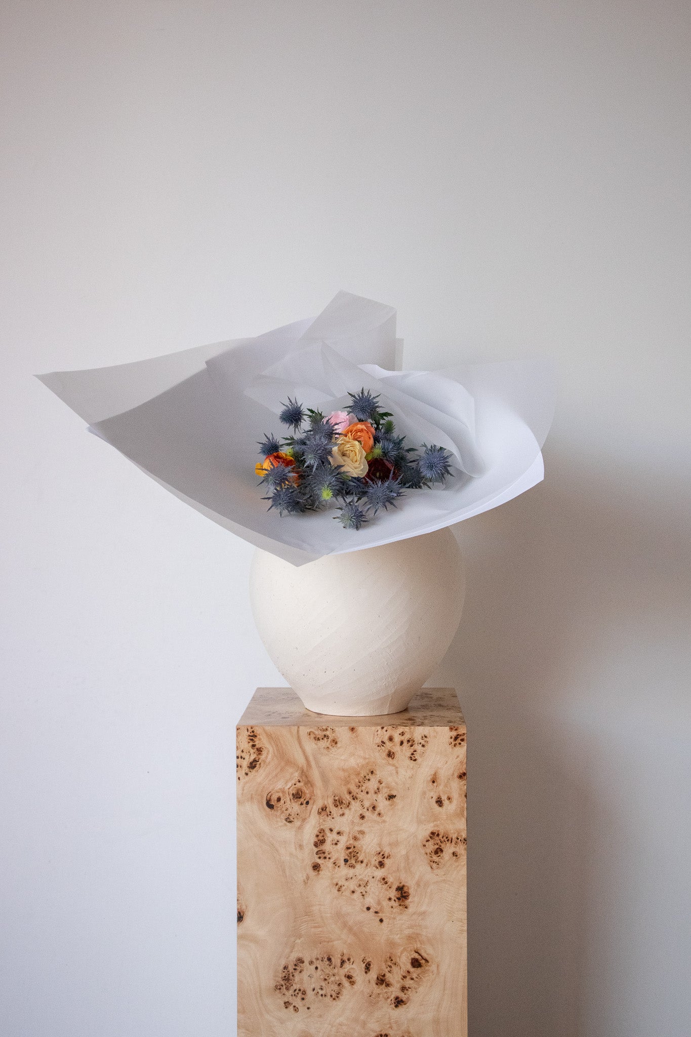 COMPLEMENT VOL 16 - SMALL