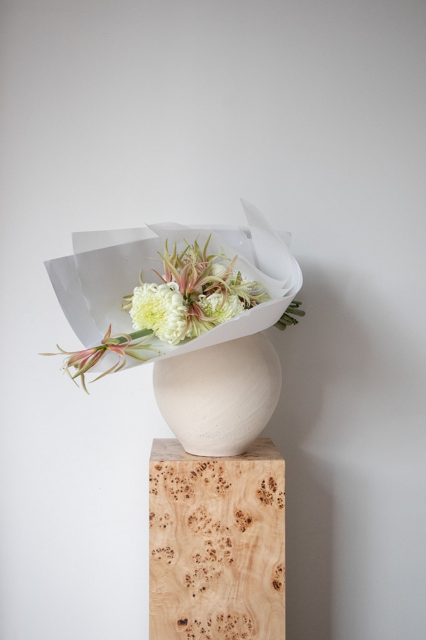 COMPLEMENT VOL 15 - EXTRA LARGE