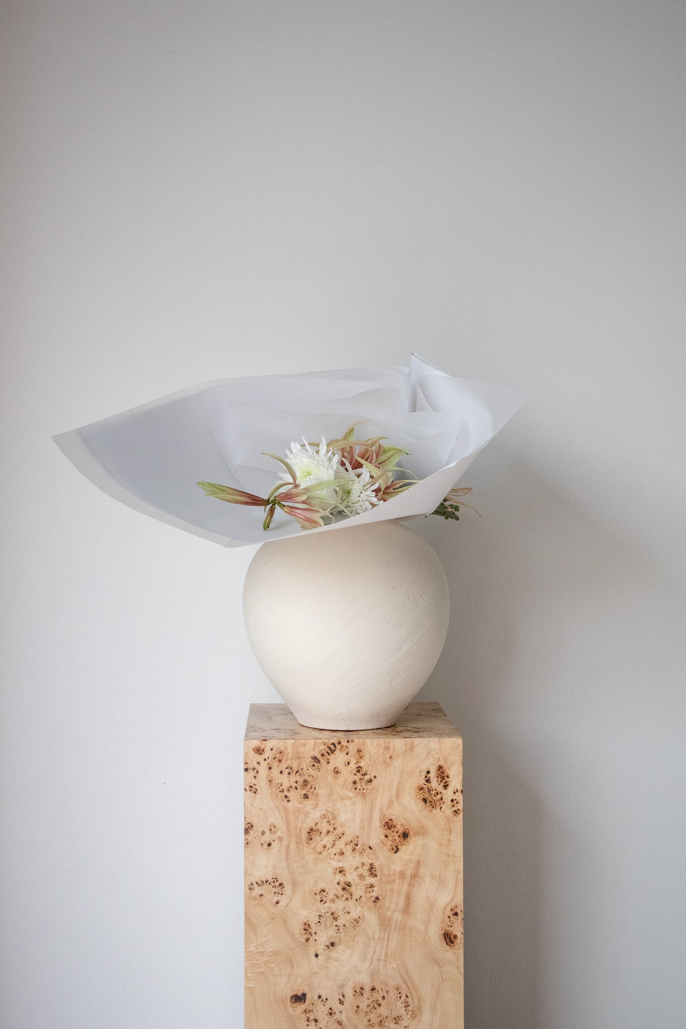 COMPLEMENT VOL 15 - SMALL