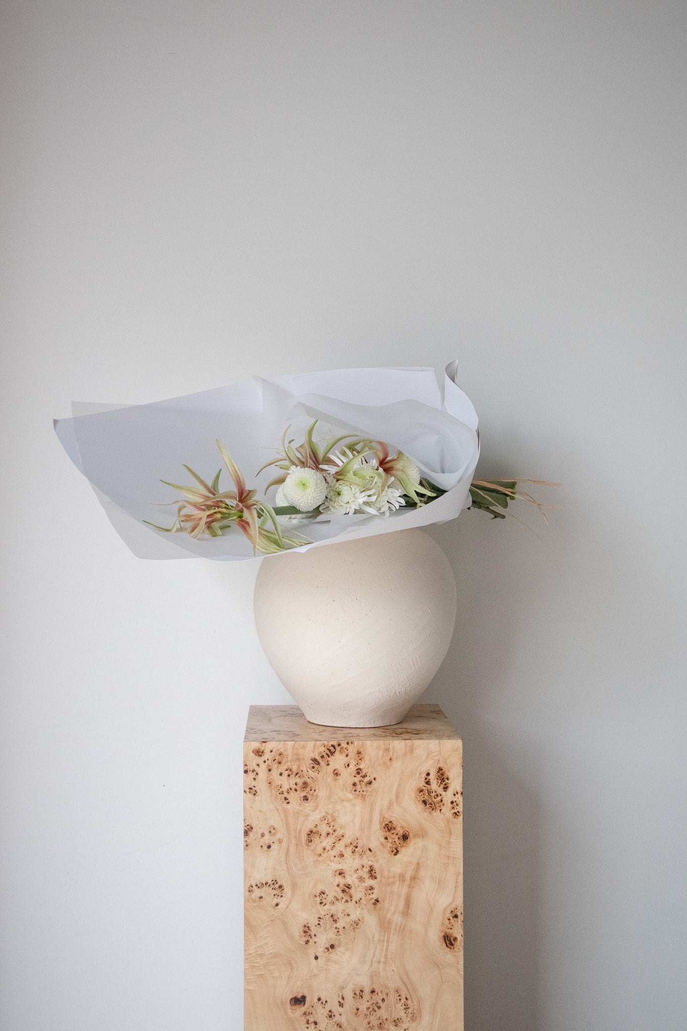 COMPLEMENT VOL 15 - MEDIUM