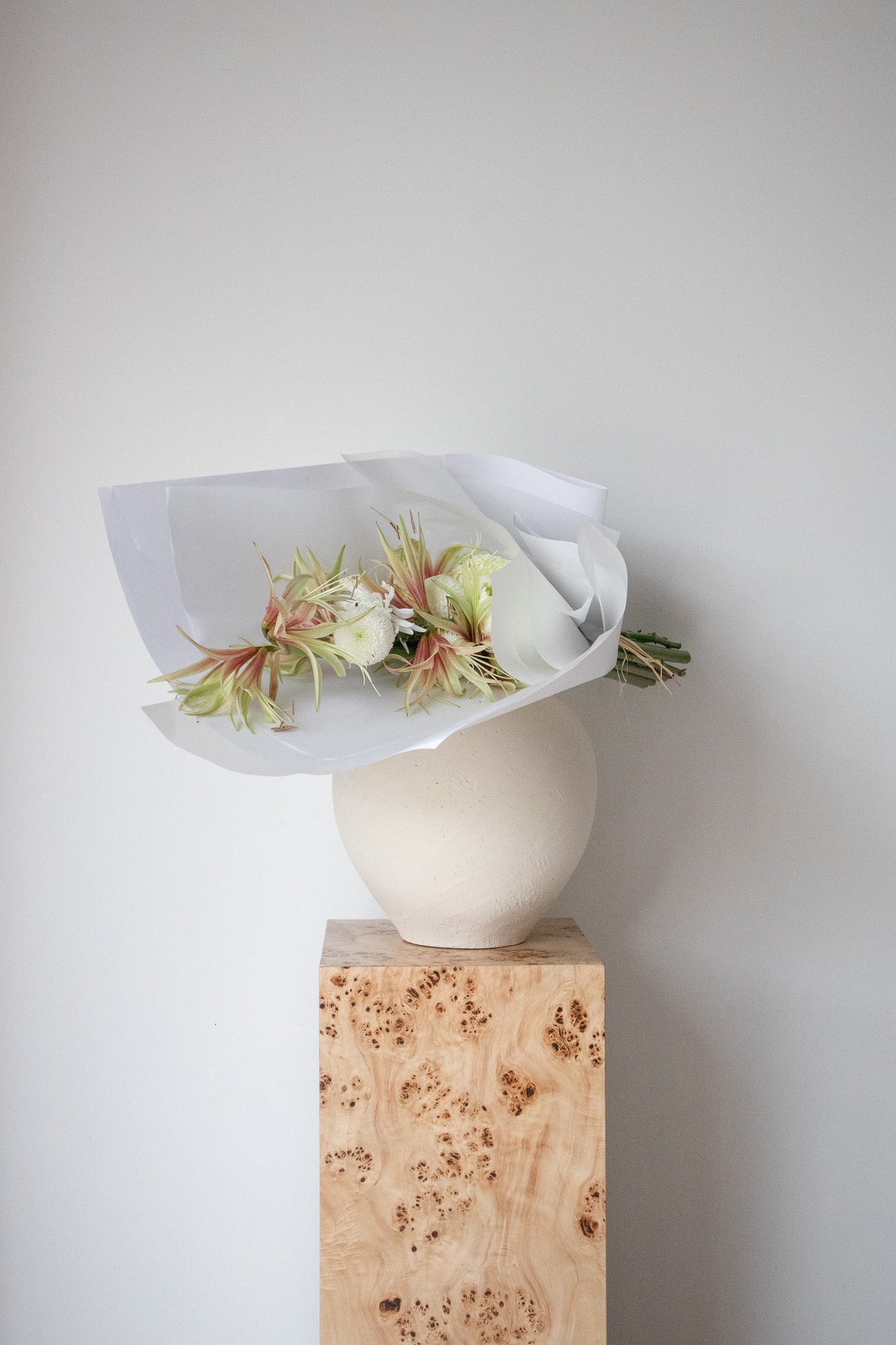 COMPLEMENT VOL 15 - LARGE