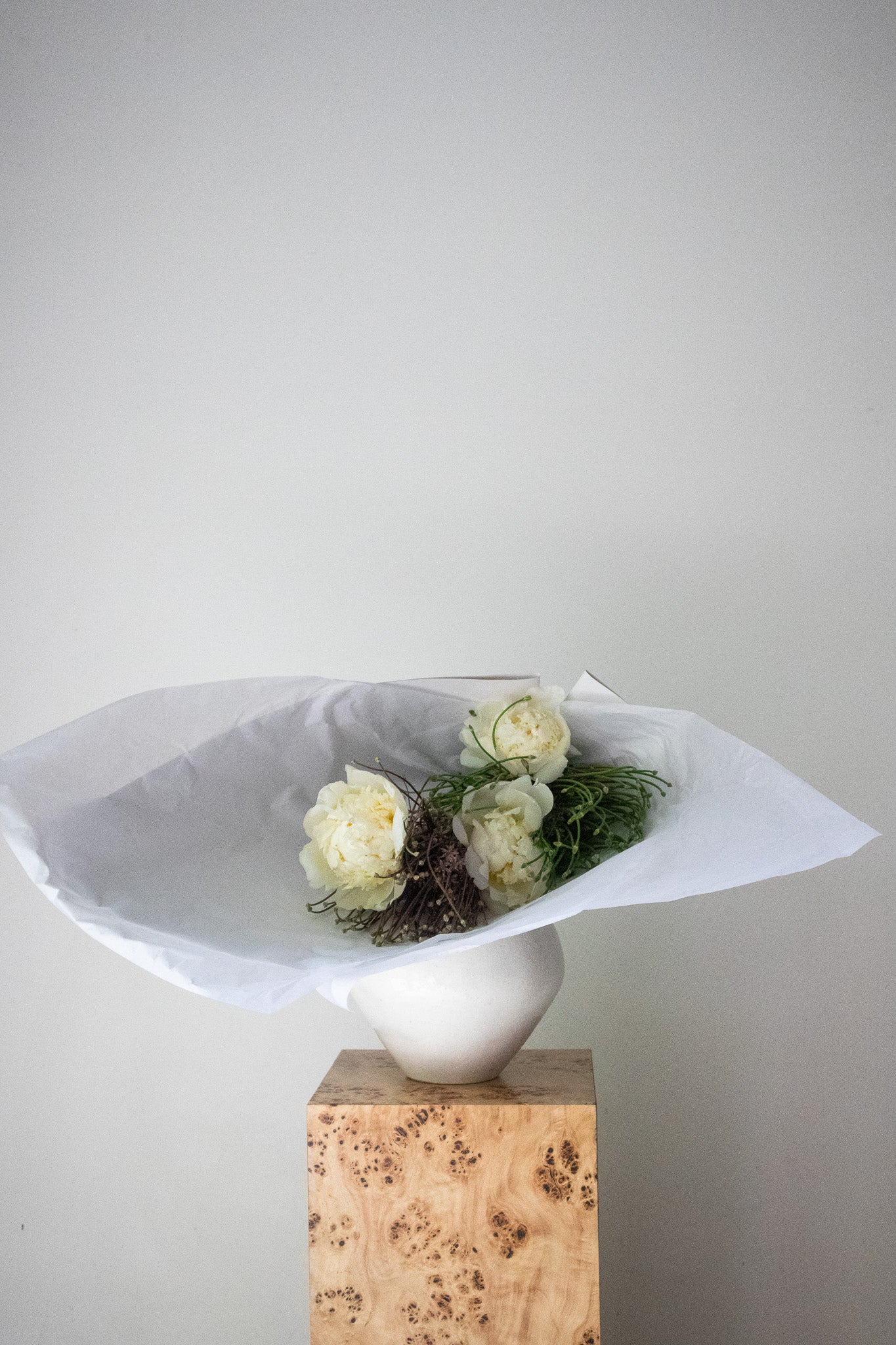COMPLEMENT VOL 07 - SMALL