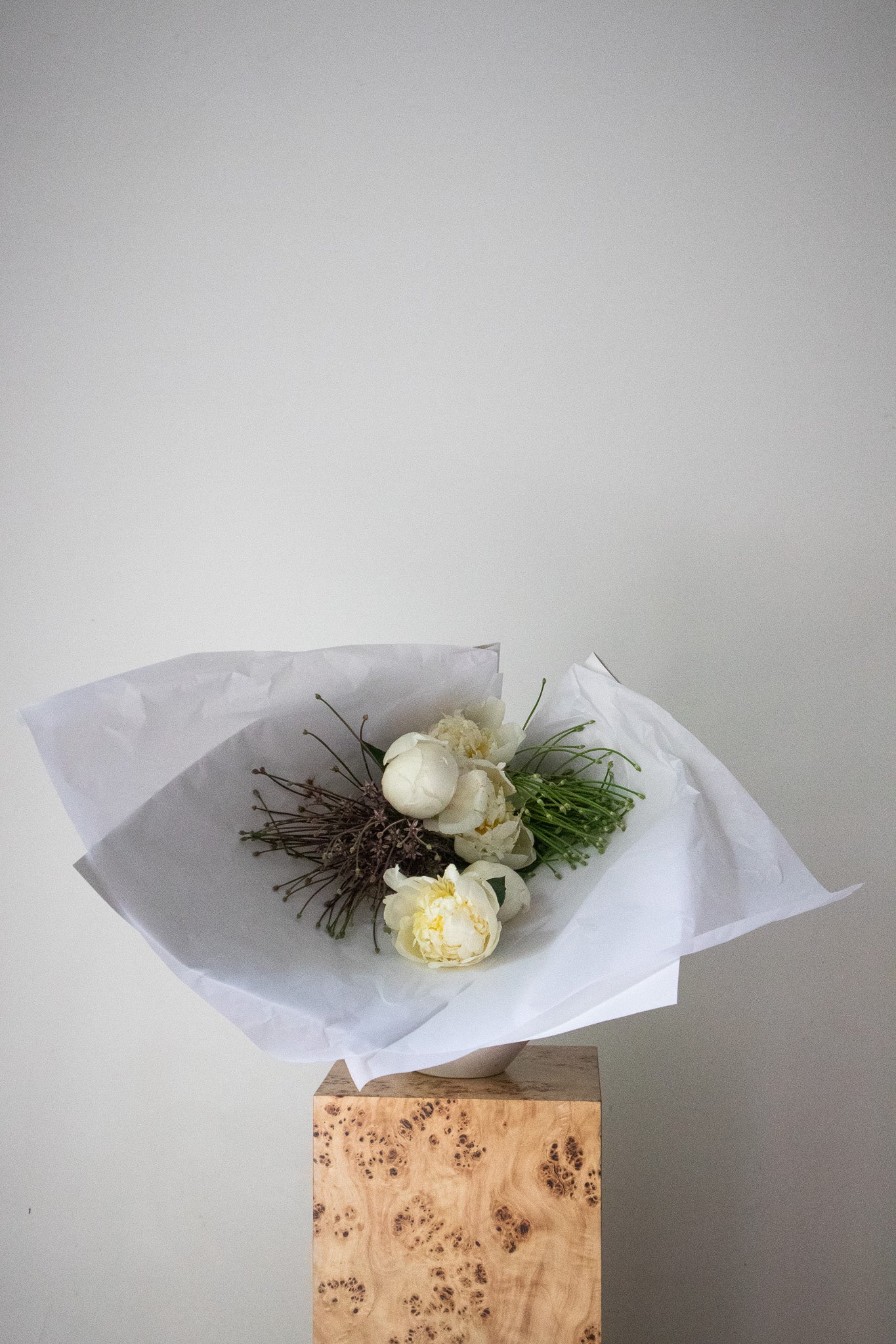 COMPLEMENT VOL 07 - MEDIUM