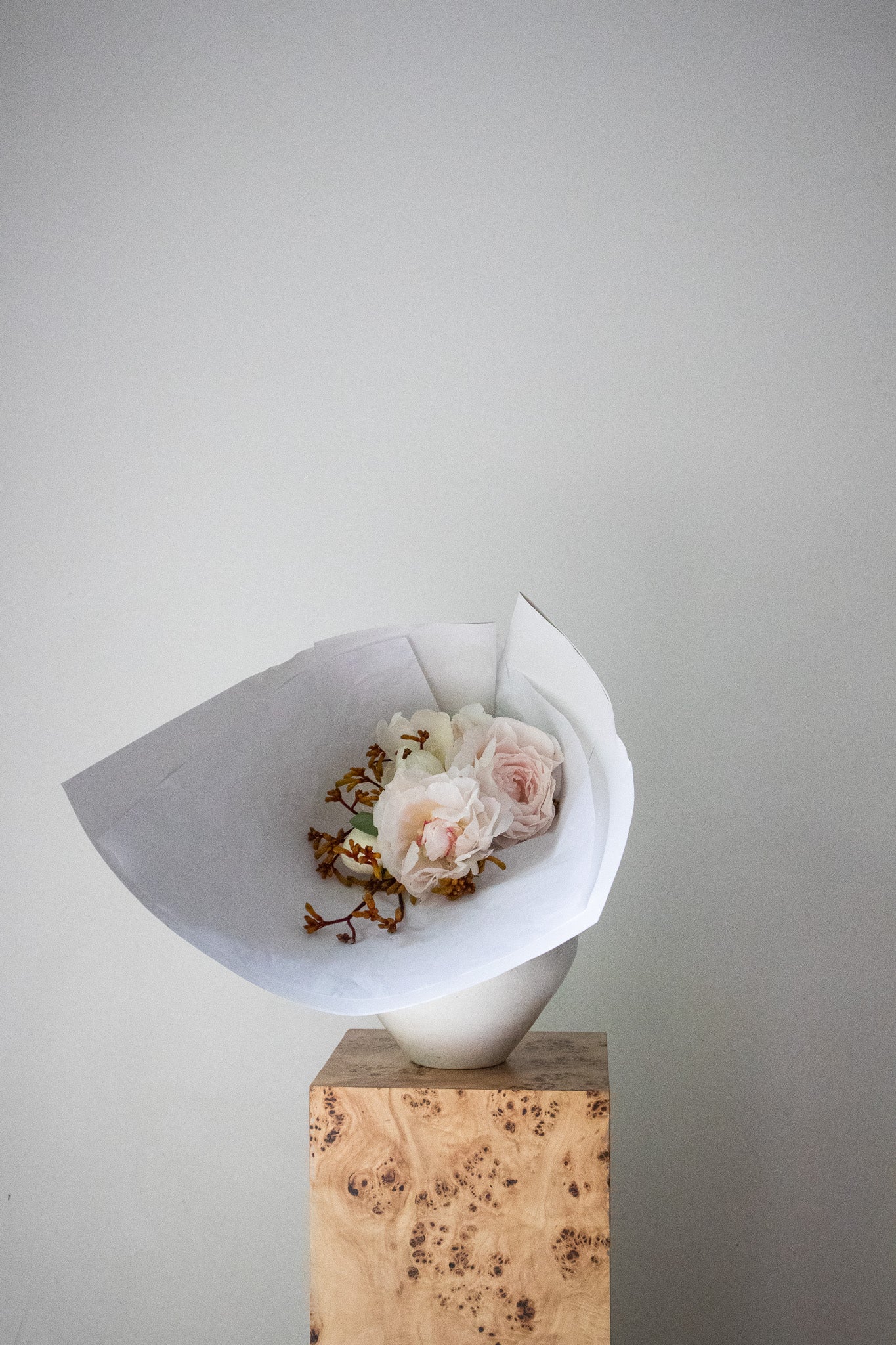 COMPLEMENT VOL 08 - SMALL