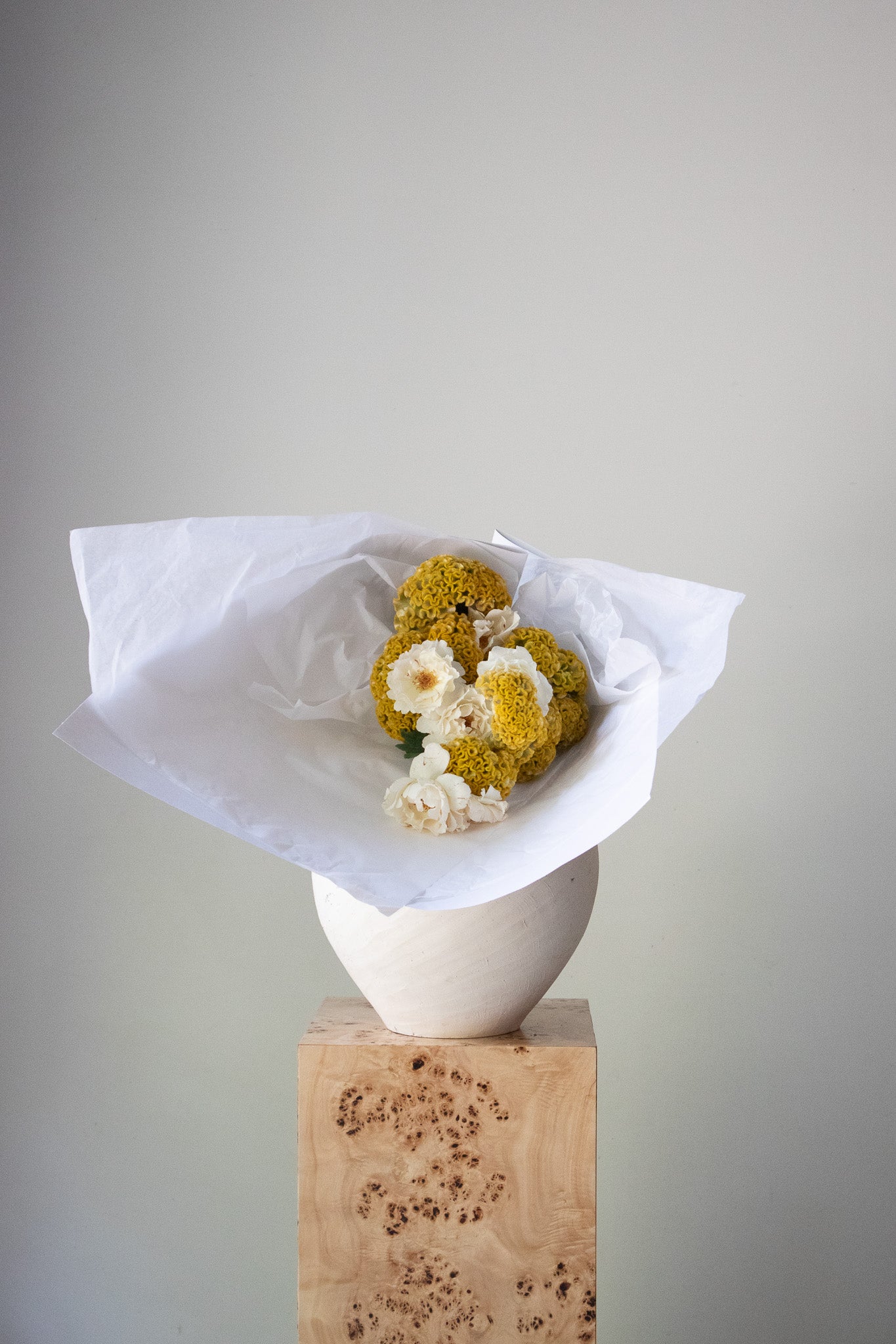 COMPLEMENT VOL 09 - MEDIUM