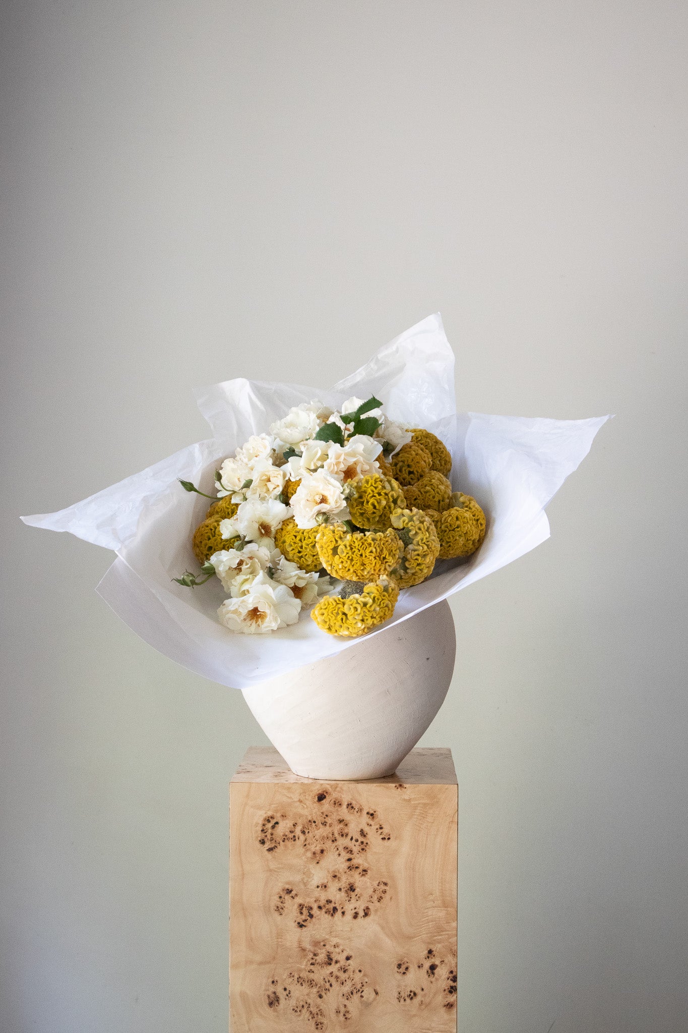COMPLEMENT VOL 09 - VASE