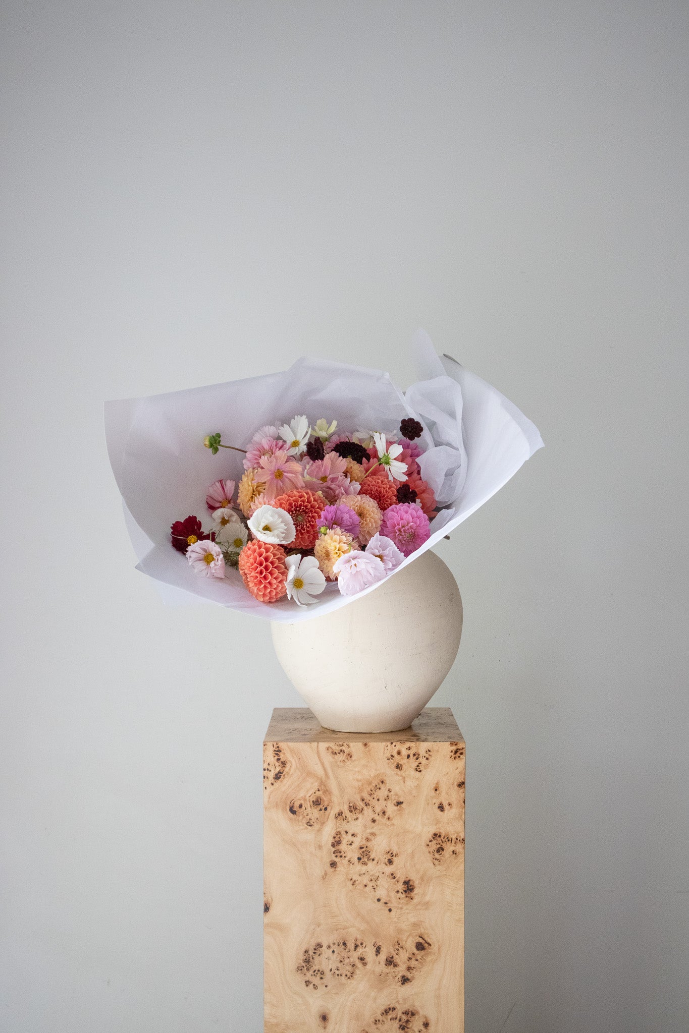 COMPLEMENT VOL 11 - VASE