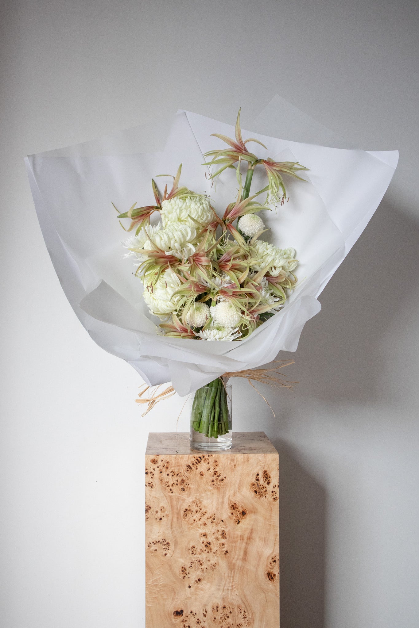 COMPLEMENT VOL 15 - VASE