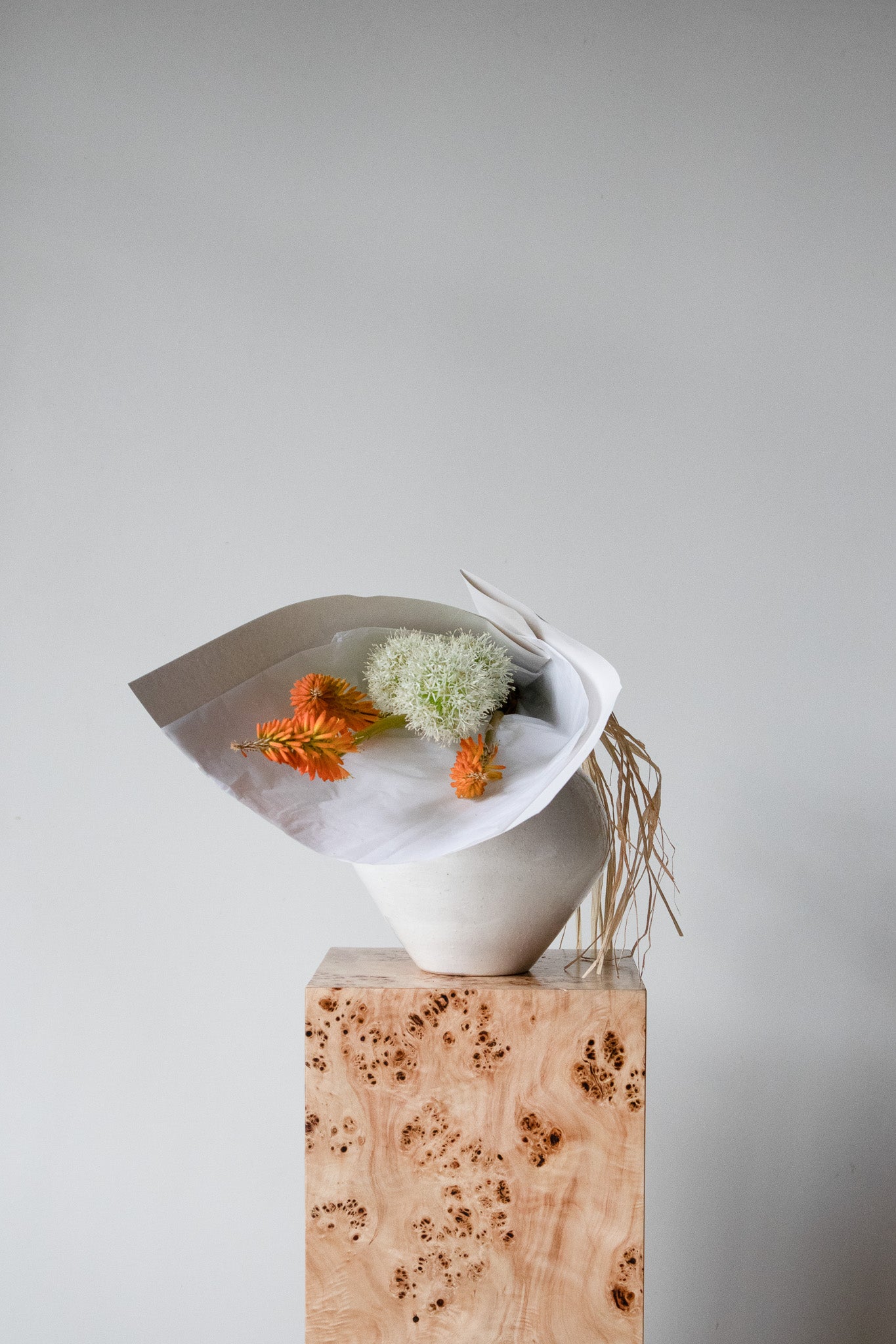 COMPLEMENT VOL 04 - SMALL