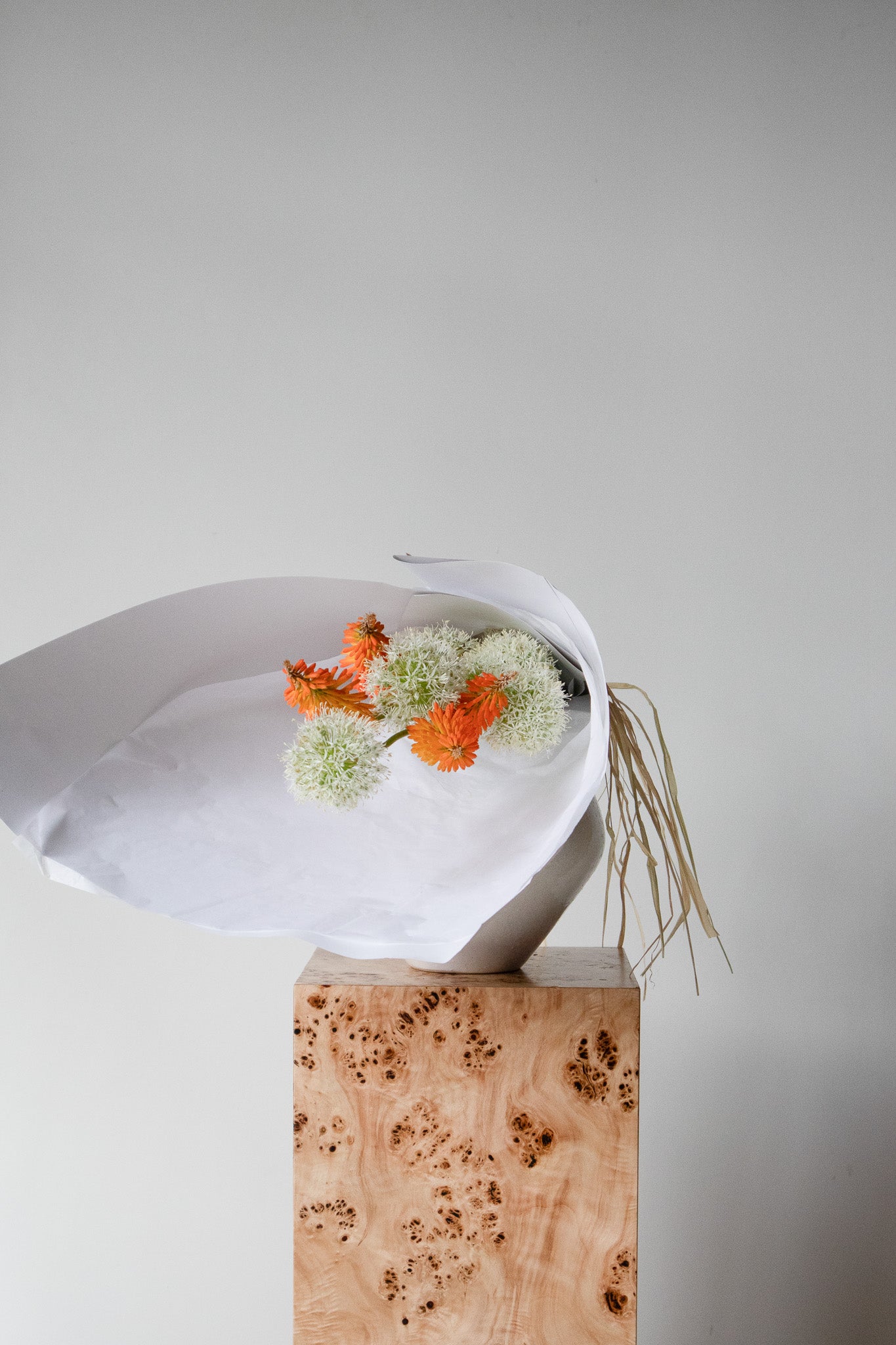 COMPLEMENT VOL 04 - MEDIUM