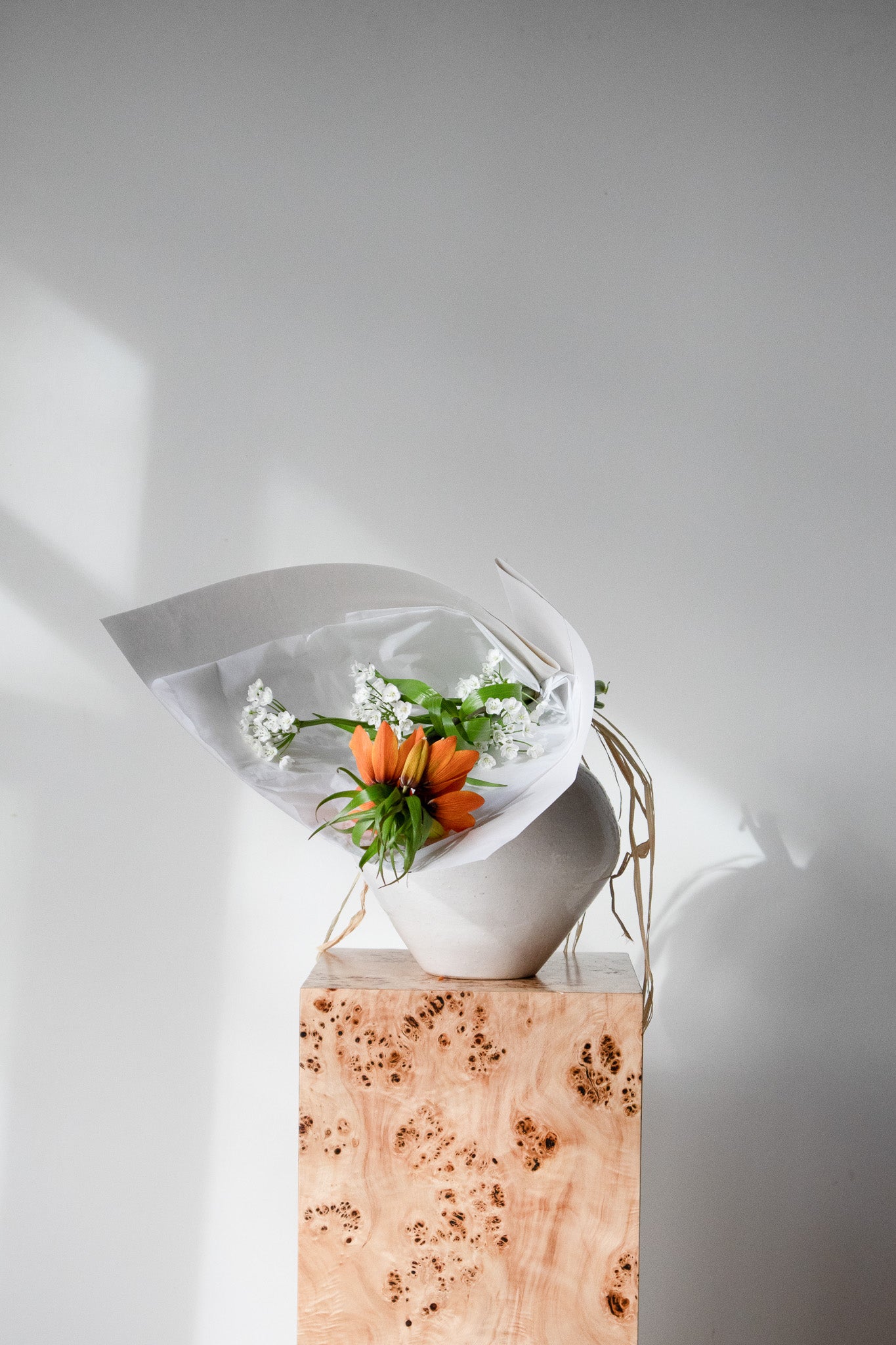 COMPLEMENT VOL 06 - SMALL