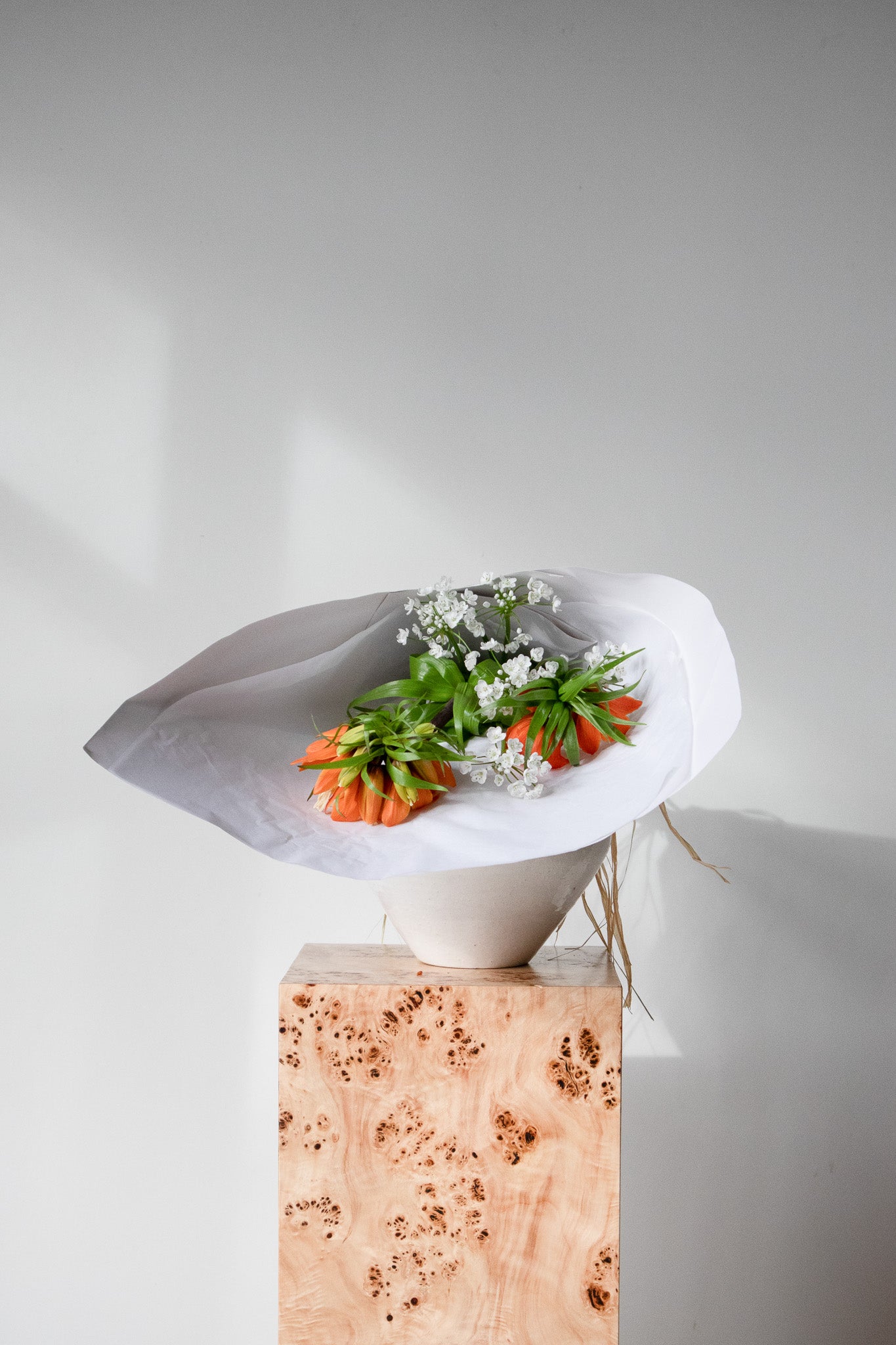 COMPLEMENT VOL 06 - MEDIUM