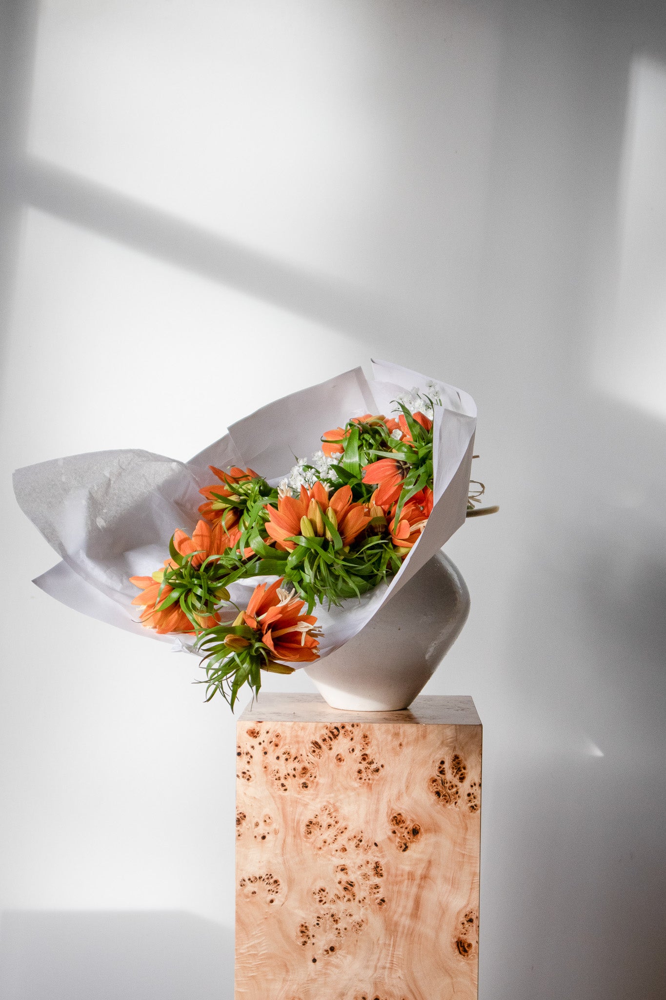 COMPLEMENT VOL 06- VASE