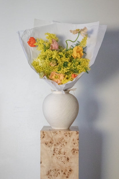 COMPLEMENT VOL 01 - EXTRA LARGE