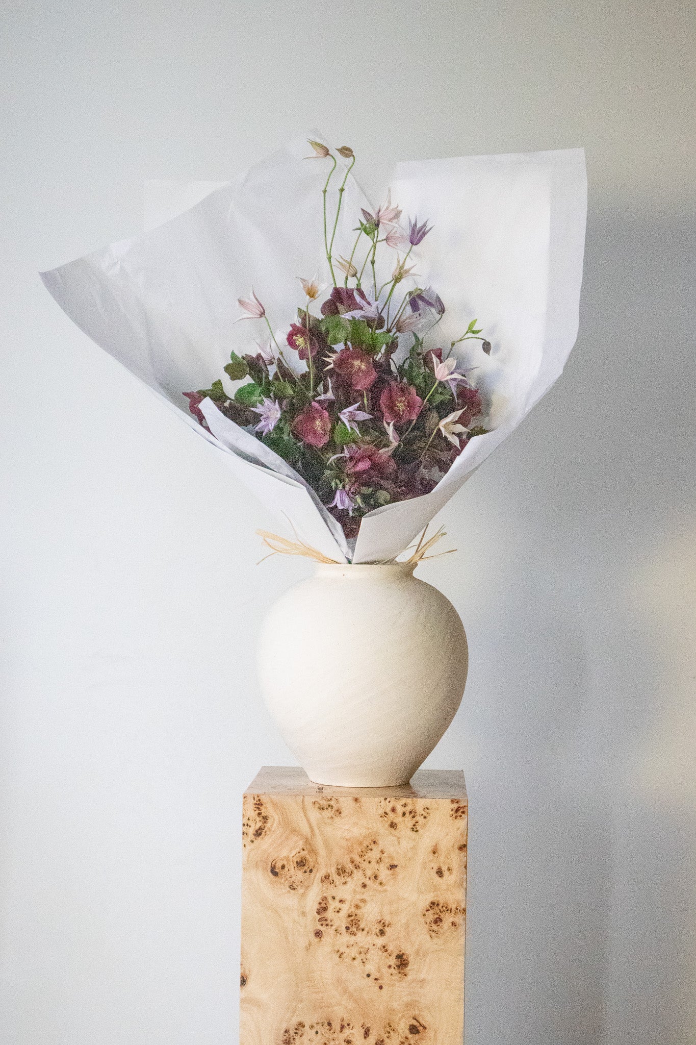 COMPLEMENT VOL 02 - EXTRA LARGE