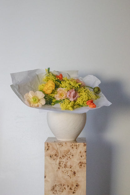 COMPLEMENT VOL 01 - EXTRA LARGE