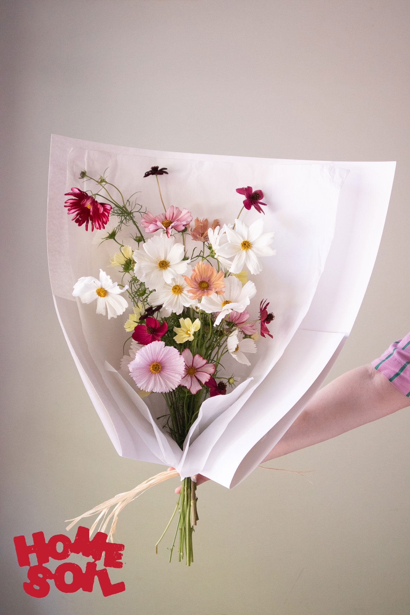HOME SOIL COSMOS - EXTRA LARGE