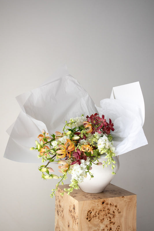 COMPLEMENT VOL 09 - EXTRA LARGE