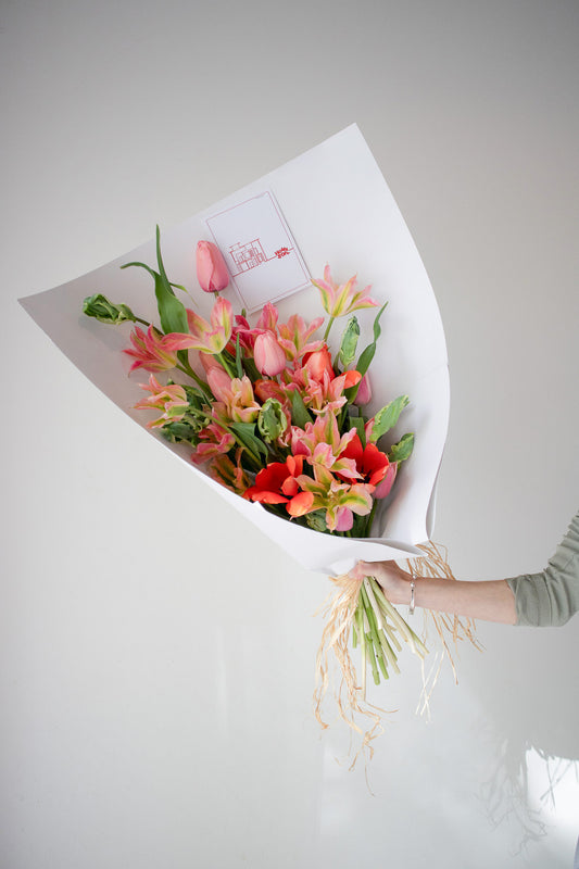 HOME SOIL TULIP - EXTRA LARGE