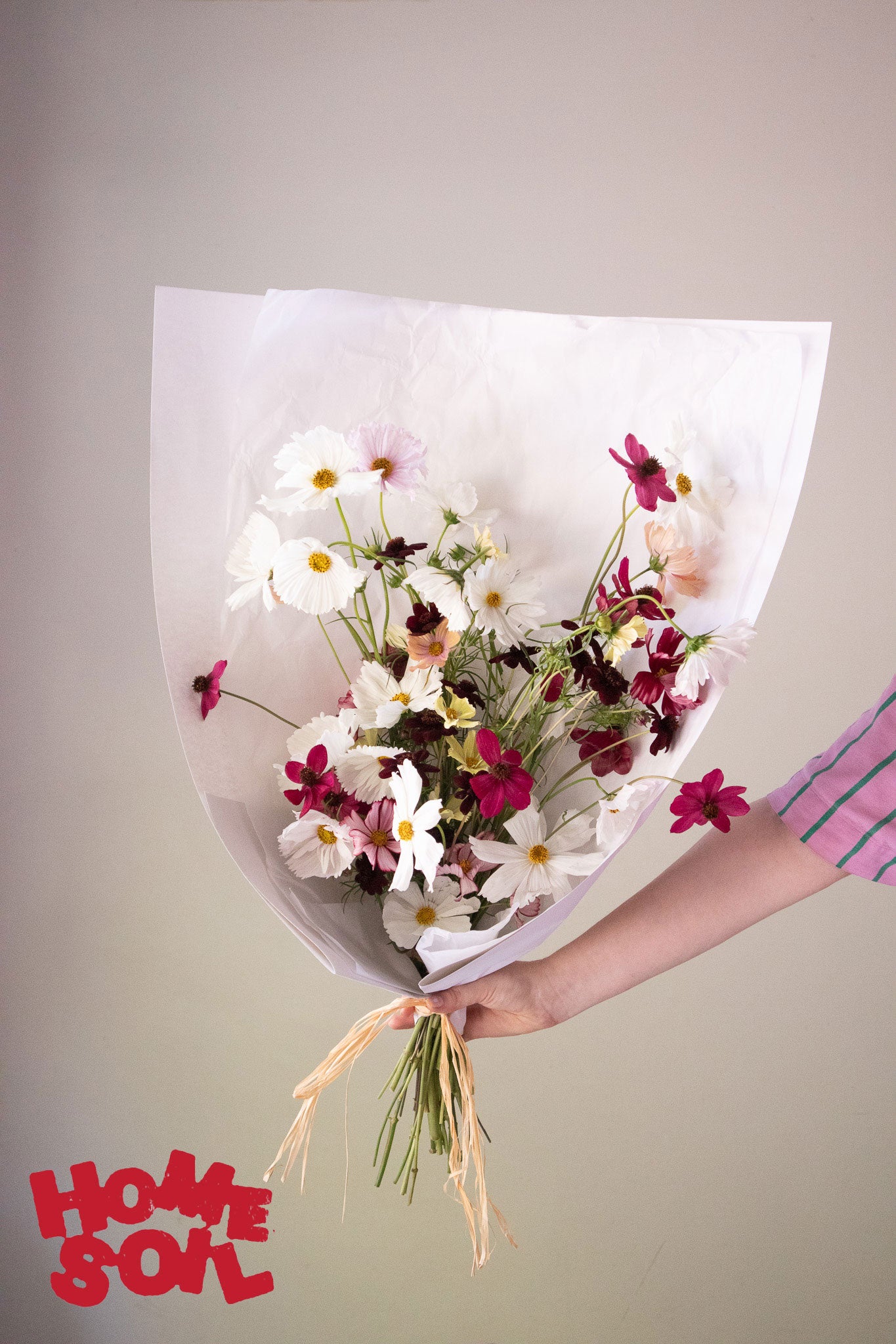 HOME SOIL COSMOS - VASE