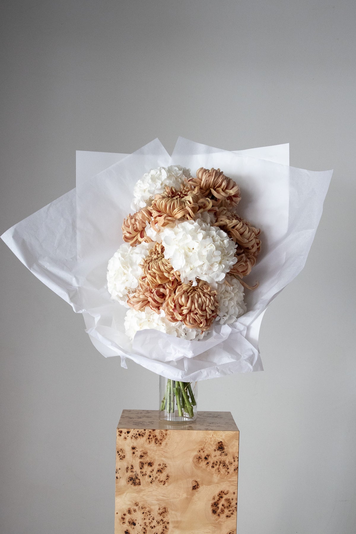 COMPLEMENT VOL 12 - VASE