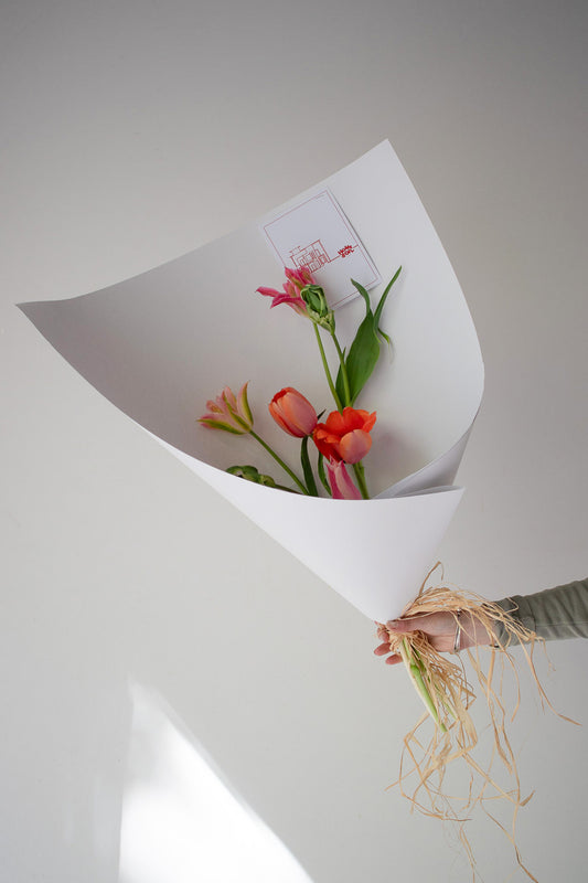 HOME SOIL TULIP - EXTRA SMALL