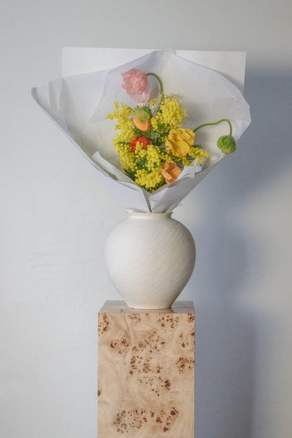 COMPLEMENT VOL 01 - SMALL