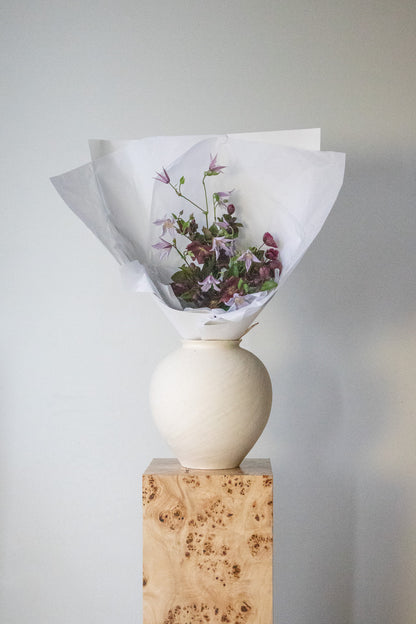 COMPLEMENT VOL 02 - SMALL