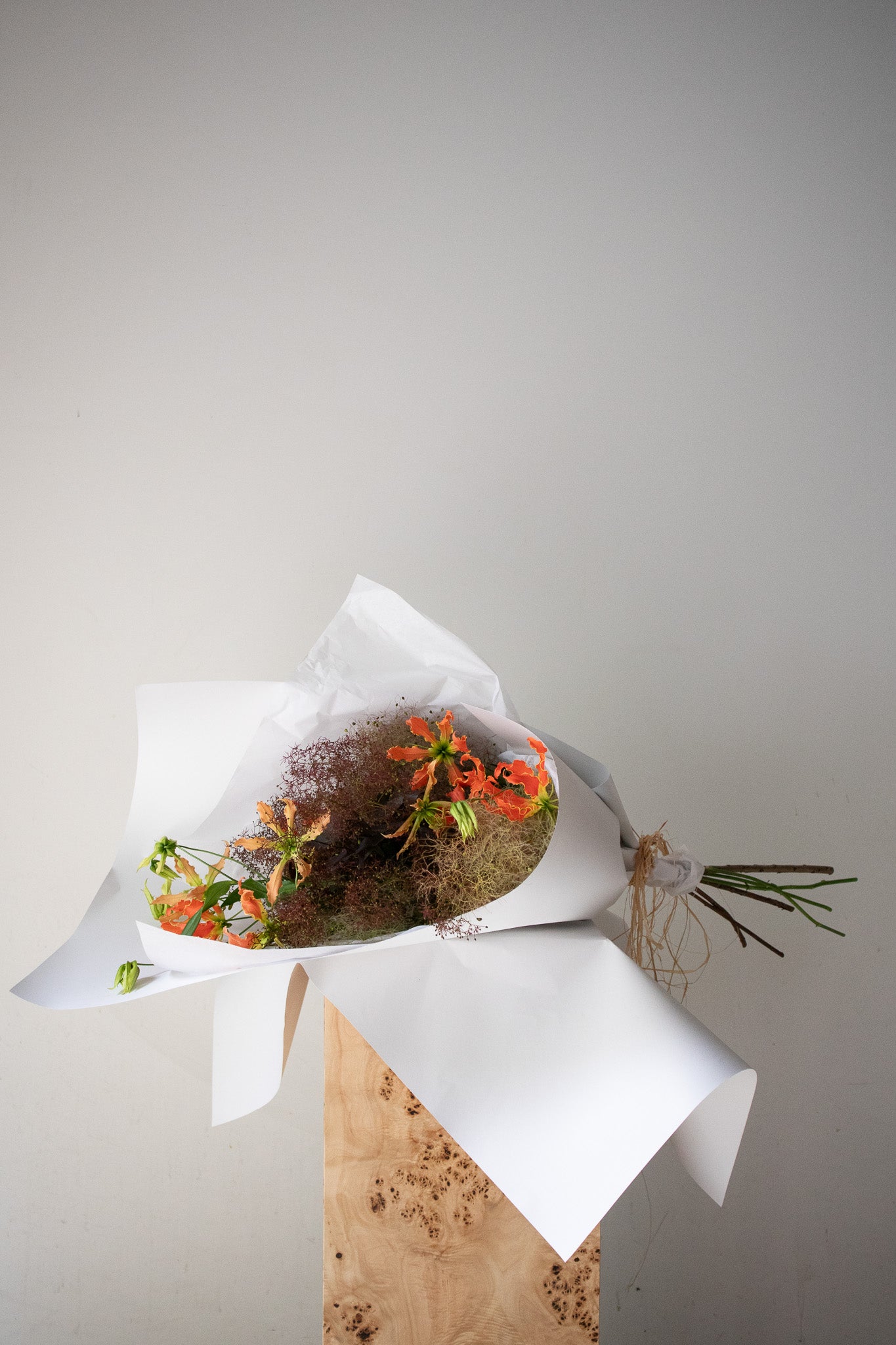 COMPLEMENT VOL 08 - MEDIUM
