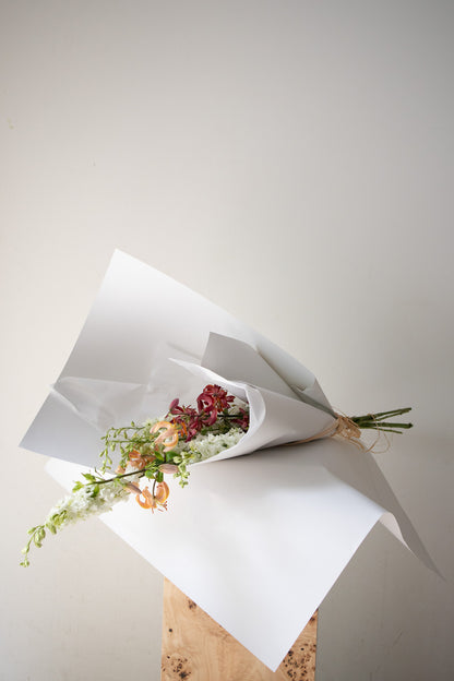 COMPLEMENT VOL 09 - SMALL