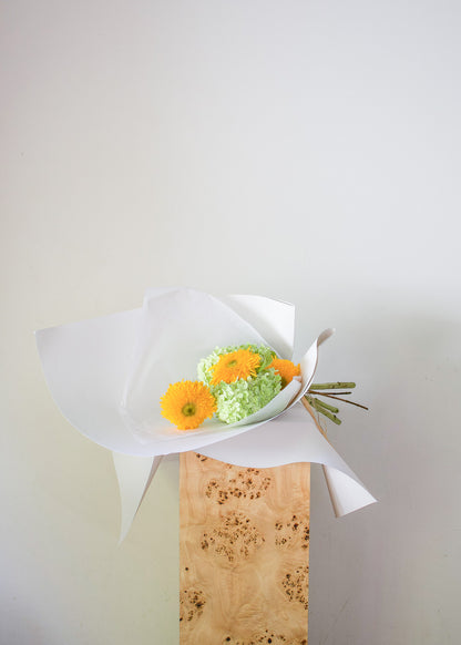 COMPLEMENT VOL 11 - SMALL