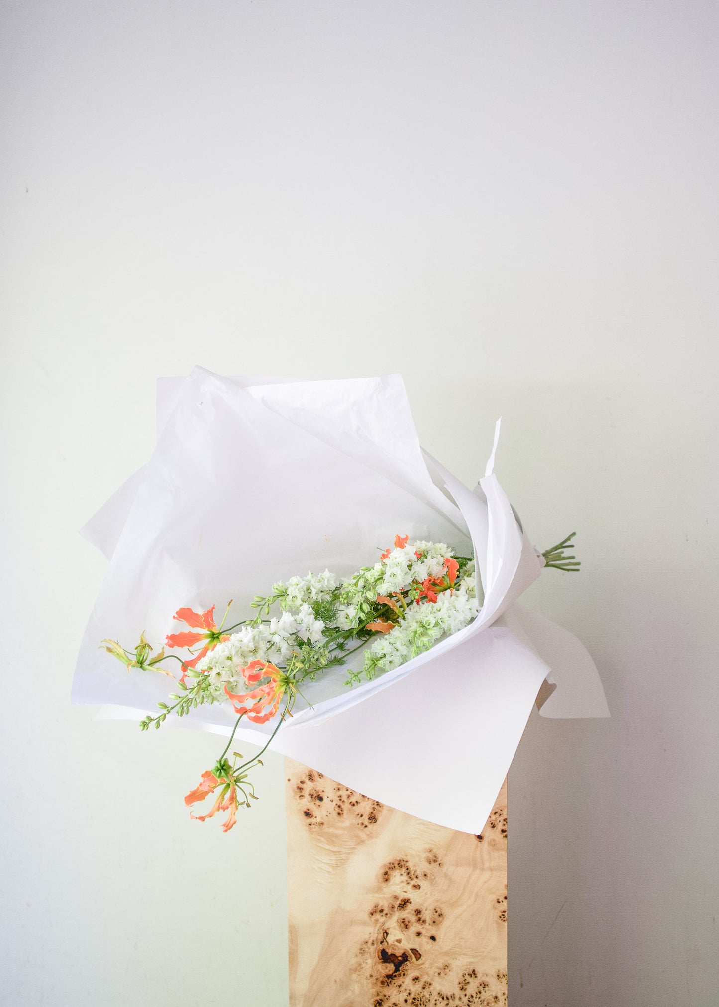 COMPLEMENT VOL 10 - SMALL