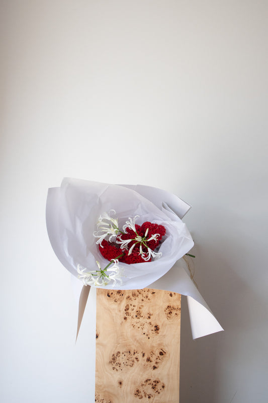 COMPLEMENT VOL 13 - SMALL