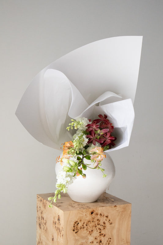COMPLEMENT VOL 09 - SMALL
