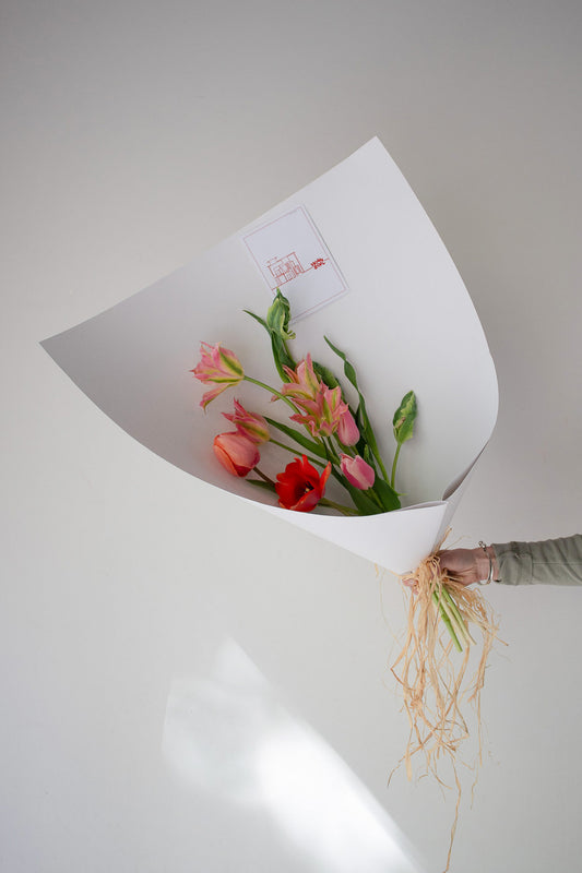 HOME SOIL TULIP - SMALL