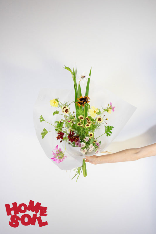 HOME SOIL SEASONAL MIX - SMALL