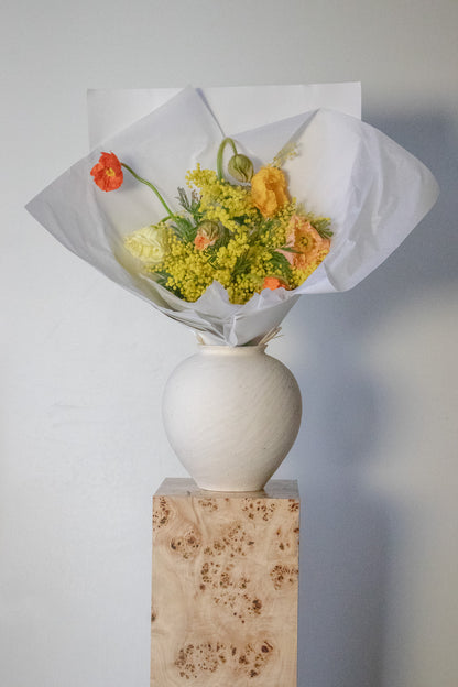 COMPLEMENT VOL 01 - MEDIUM